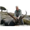 Image 6 : 6 Day BECEITE Ibex Ibex hunt for 2 Hunters with Spain Hunting Ibex – Includes 2 BECEITE Ibex