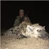 Image 1 : 10 Day Spotted Hyena Hunt for One Hunter with Ubathi Global Safaris. Also included is a 1 day sight 