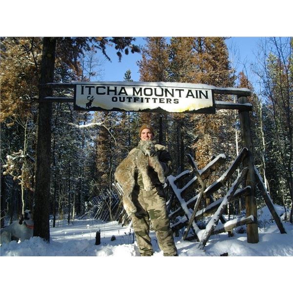 Lynx Or Black Bear Hunt in British Columbia with Itcha Mountain Outfitters. Winner’s Choice