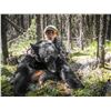 Image 6 : Lynx Or Black Bear Hunt in British Columbia with Itcha Mountain Outfitters. Winner’s Choice