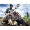 Image 7 : Lynx Or Black Bear Hunt in British Columbia with Itcha Mountain Outfitters. Winner’s Choice