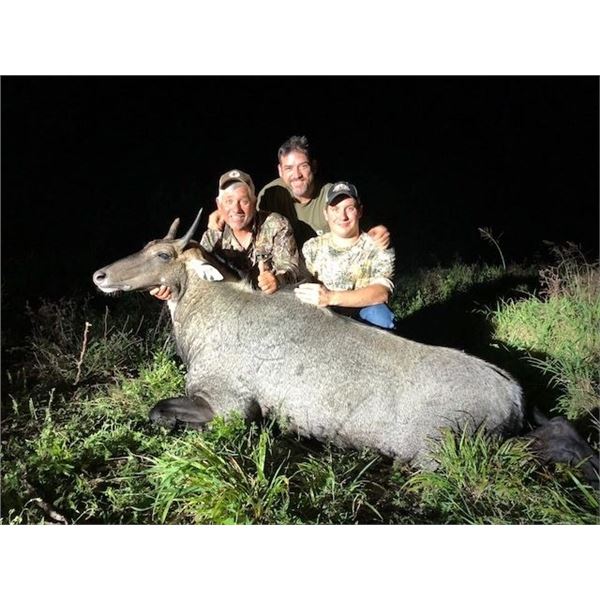 PLEASE CHECK OUT OUR ONLINE GIVEAWAYS