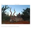Image 2 : 7 Day South African Spiral Horn Hunt for Two Hunters with Jannie Otto Hunting Safaris for 3 Animals 