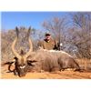 Image 5 : 7 Day South African Spiral Horn Hunt for Two Hunters with Jannie Otto Hunting Safaris for 3 Animals 