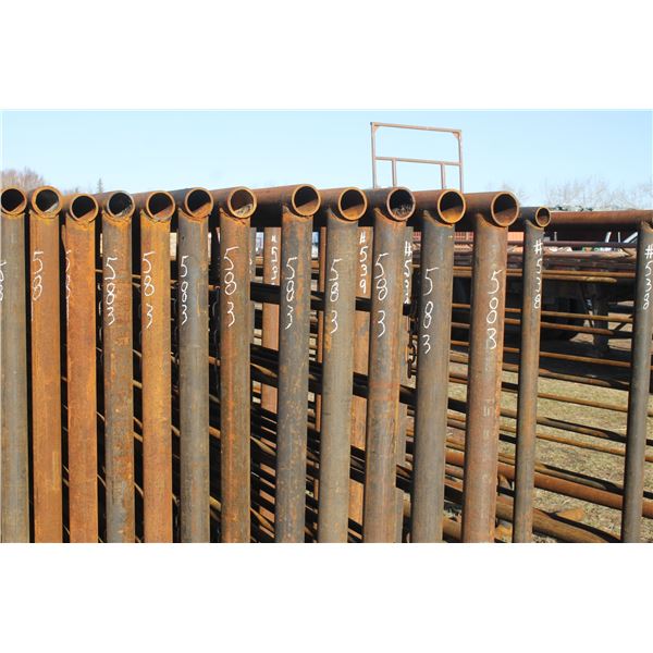 10- 24' X 2 7/8" Pipe Panels, So Much Each x10