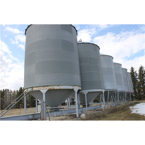 4- Twister 5 Ring and 2- Westeel 6 Ring, Approx. 2250 bu c/w Double Skids, Ladders and Openers, Sell