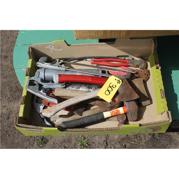 Box of Tools (Hatchet, Hammer, Grease Guns, Etc.)