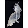 Image 4 : Large Zuni Sterling Inlay Cockatoo Pin Pendant