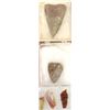 Image 3 : Prehistoric Native American Estate Arrowheads