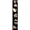 Image 2 : Prehistoric Native American Arrowheads and Sherds