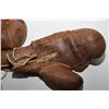 Image 2 : Antique Winnwell boxing gloves