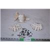 Image 1 : Sea shells,shark teeth