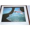 Image 3 : Canada Air forces framed picture”snowbirds”