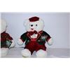 Image 3 : Snowflake Teddy 1998,99 (2)