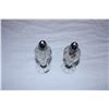 Image 3 : Crystal salt & Pepper Shakers