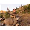 Image 1 : 7 Day Mule Deer Alpine Hunt for 1 Hunter