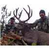 Image 2 : 7 Day Mule Deer Alpine Hunt for 1 Hunter