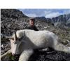 Image 2 : 7 Day Mountain Goat Hunt