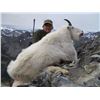 Image 3 : 7 Day Mountain Goat Hunt