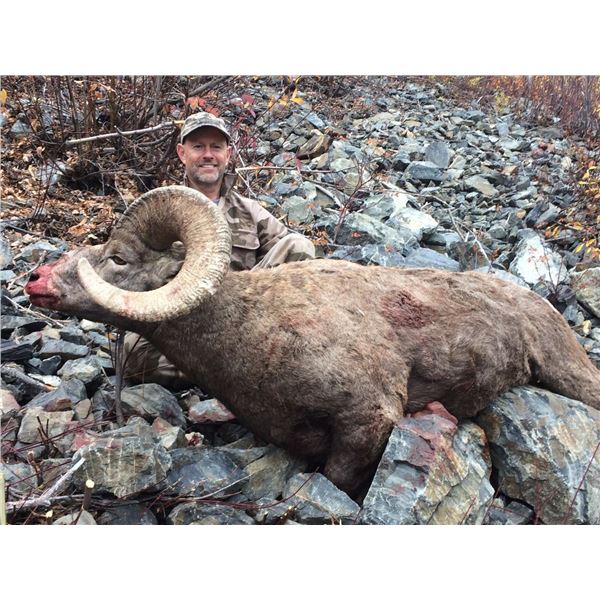 12 Day Full Curl Cal. Bighorn Sheep hunt