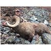 Image 1 : 12 Day Full Curl Cal. Bighorn Sheep hunt