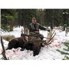 Image 2 : 7 Day Canadian Moose Hunt