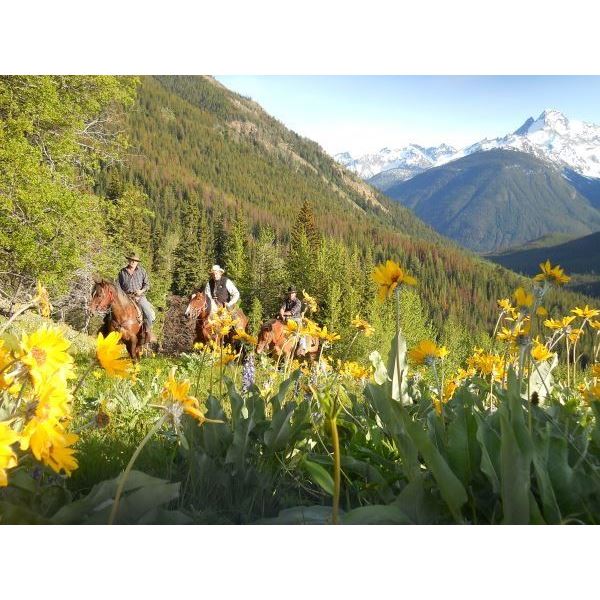 7 Day Dude Ranch Trip for 4 people