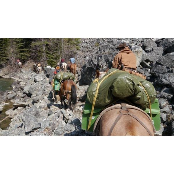 7 Day Wilderness Horseback Guide School Program for One Person