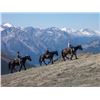 Image 3 : 7 Day Wilderness Horseback Guide School Program for One Person