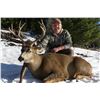 Image 3 : 7 Day Mule Deer Rut Hunt for 2 Hunters