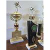 Image 13 : Multiple Trophies: Pool, Vintage Cup, Triangle Rack, etc