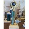 Image 9 : Multiple Trophies: Pool, Vintage Cup, Triangle Rack, etc