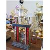Image 10 : Multiple Trophies: Pool, Vintage Cup, 8-Ball, etc