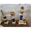 Image 12 : Multiple Trophies: Pool, Vintage Cup, Cards, etc