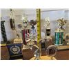 Image 17 : Multiple Trophies: Pool, Vintage Cup, Cards, etc