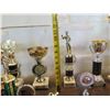 Image 19 : Multiple Trophies: Pool, Vintage Cup, Cards, etc