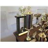 Image 3 : Multiple Trophies: Pool, Vintage Cup, Cards, etc