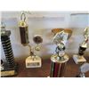 Image 6 : Multiple Trophies: Pool, Vintage Cup, Cards, etc