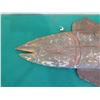 Image 2 : Vintage Decorative Fish Wall Hanging 38"L