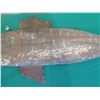 Image 3 : Vintage Decorative Fish Wall Hanging 38"L
