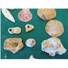 Image 10 : Multiple Decorative Sea Shells, Sand Dollars & Coral