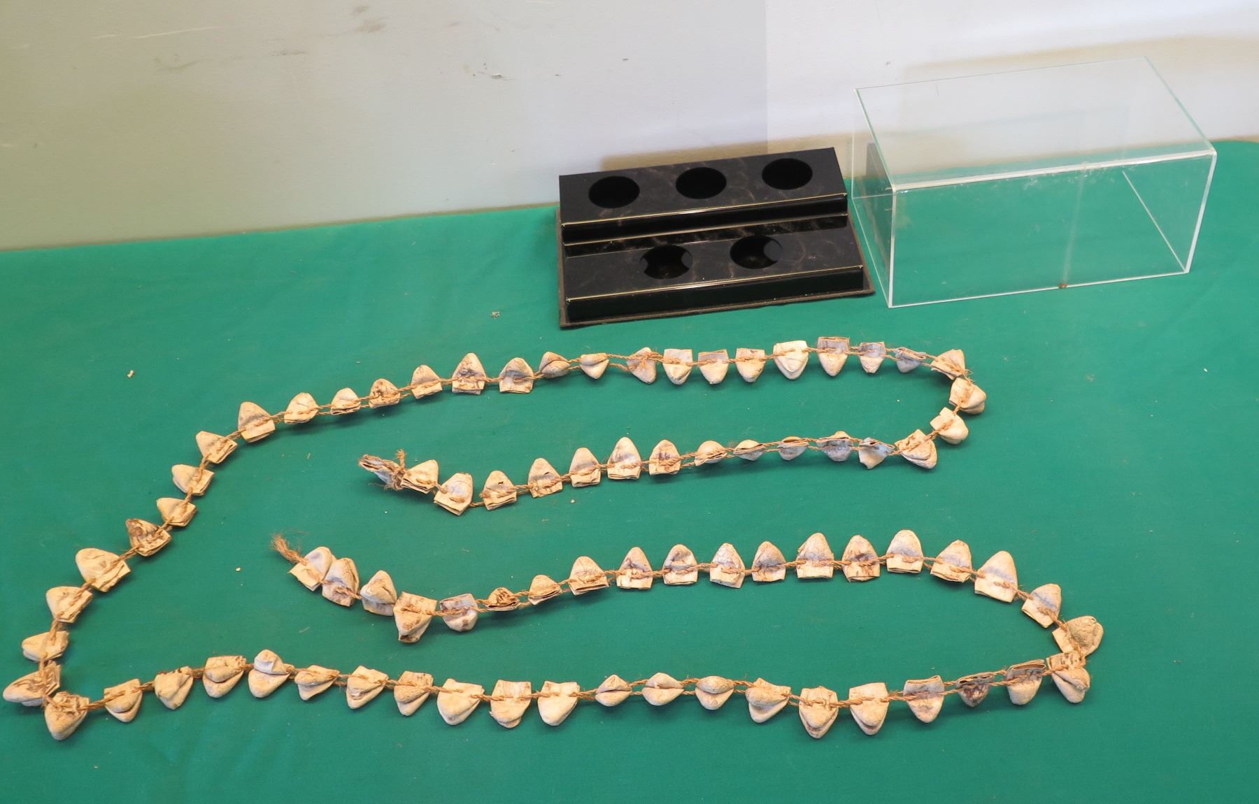 Loong String Strand Long Snake Head String Strand in Case - Oahu Auctions