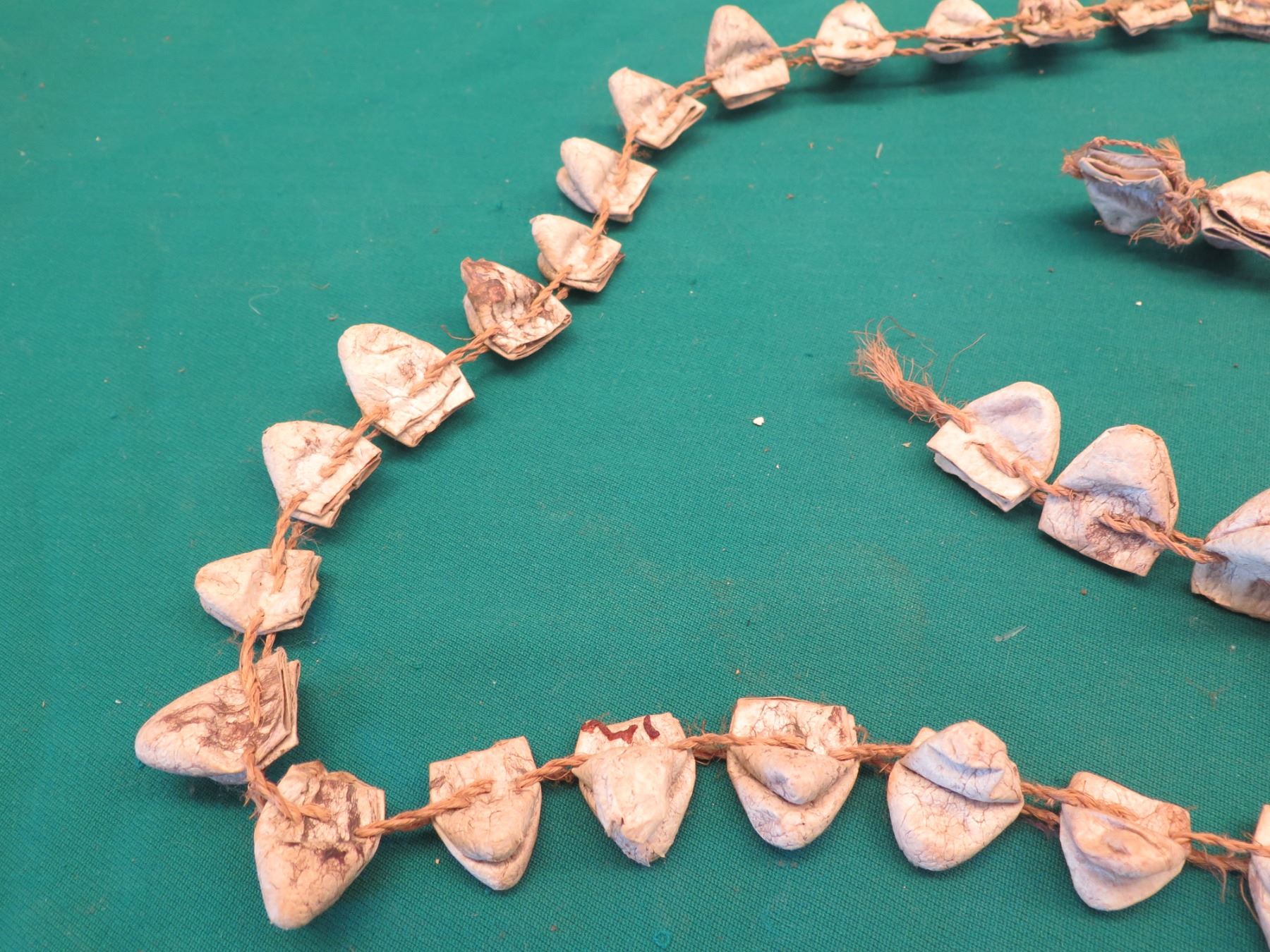 Long Snake Head String Strand In Case Oahu Auctions long-snake-head-string-strand-in-case-oahu-auctions