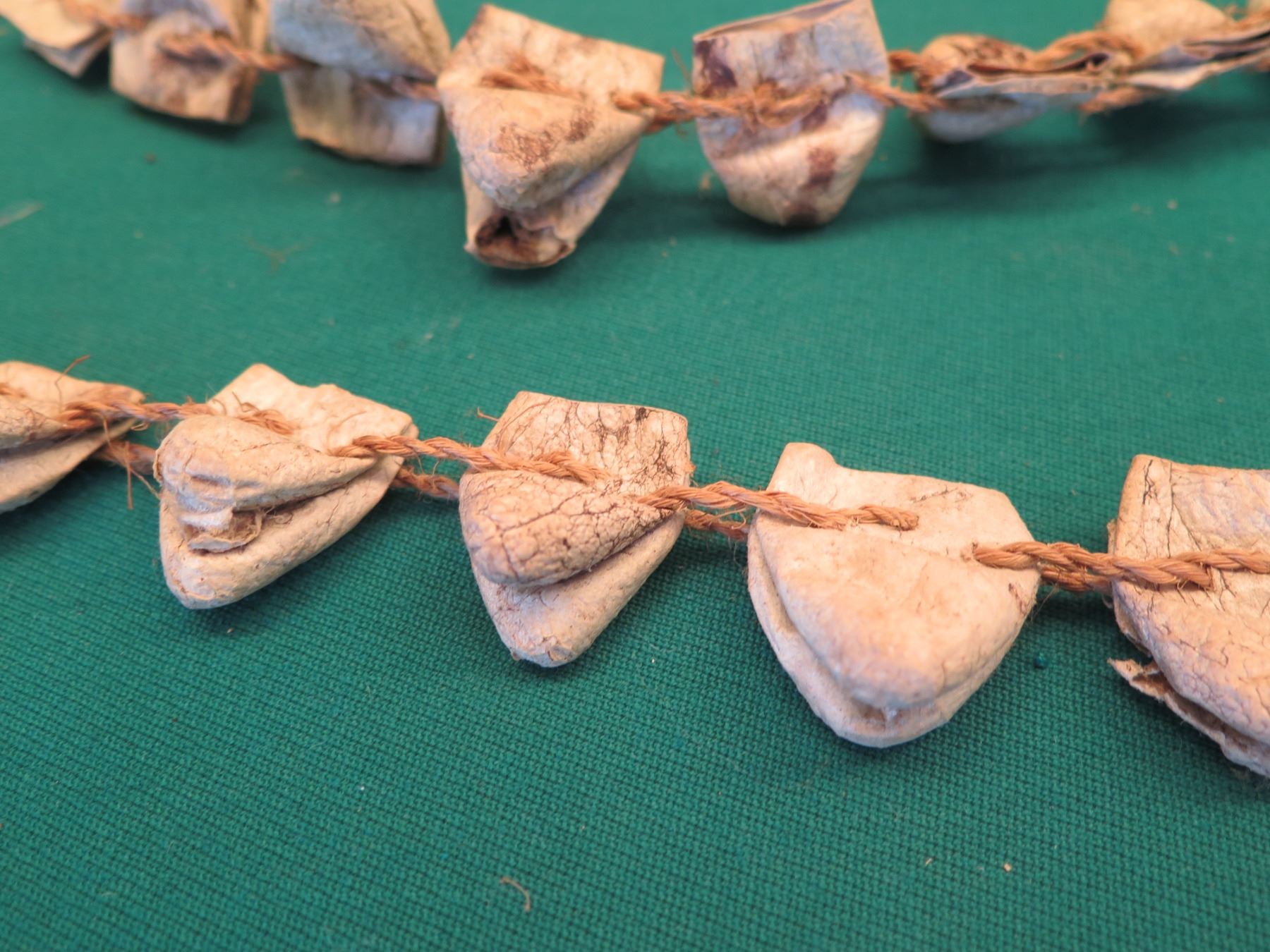 Loong String Strand Long Snake Head String Strand in Case - Oahu Auctions