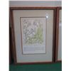 Image 6 : Qty 4 Framed & Matted Artwork: Garlic, Sage, Bindweed & Parsley