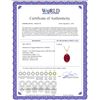 Image 2 : Genuine 7.7 ctw Ruby Necklace 14KT White Gold - REF-70N6R