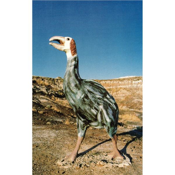 Postcards Nine Vintage Drumheller, Alberta Postcards