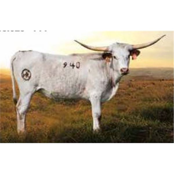 HLR Caramel Macchiato