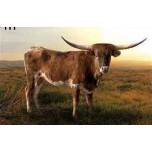 ECR Prairie Treasure