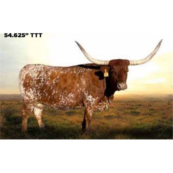 RR CADILLAC STRAWBERRY